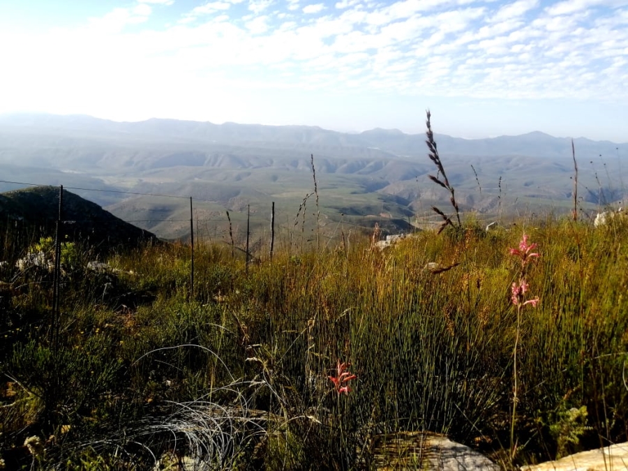 3 Bedroom Property for Sale in Joubertina Eastern Cape